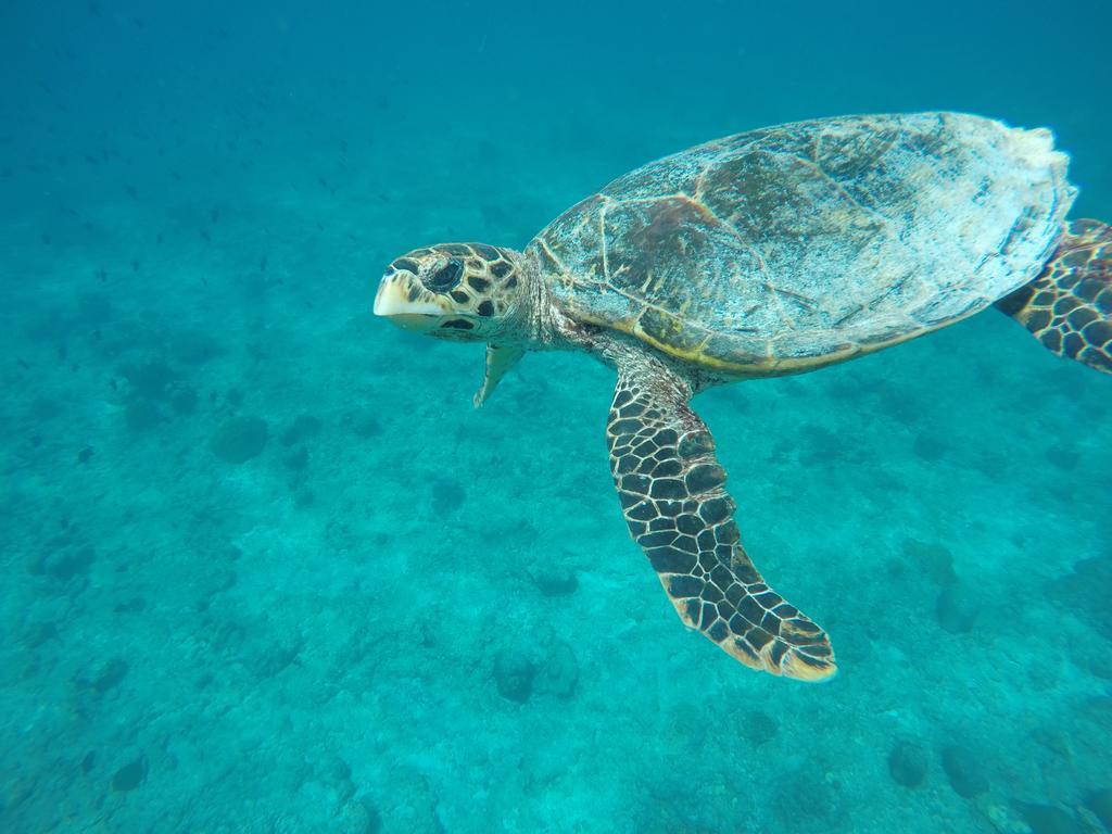 Maldives Seashine Hotel Huraa Eksteriør billede