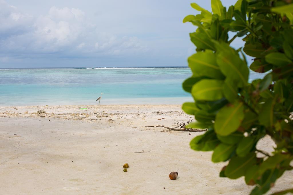 Maldives Seashine Hotel Huraa Eksteriør billede