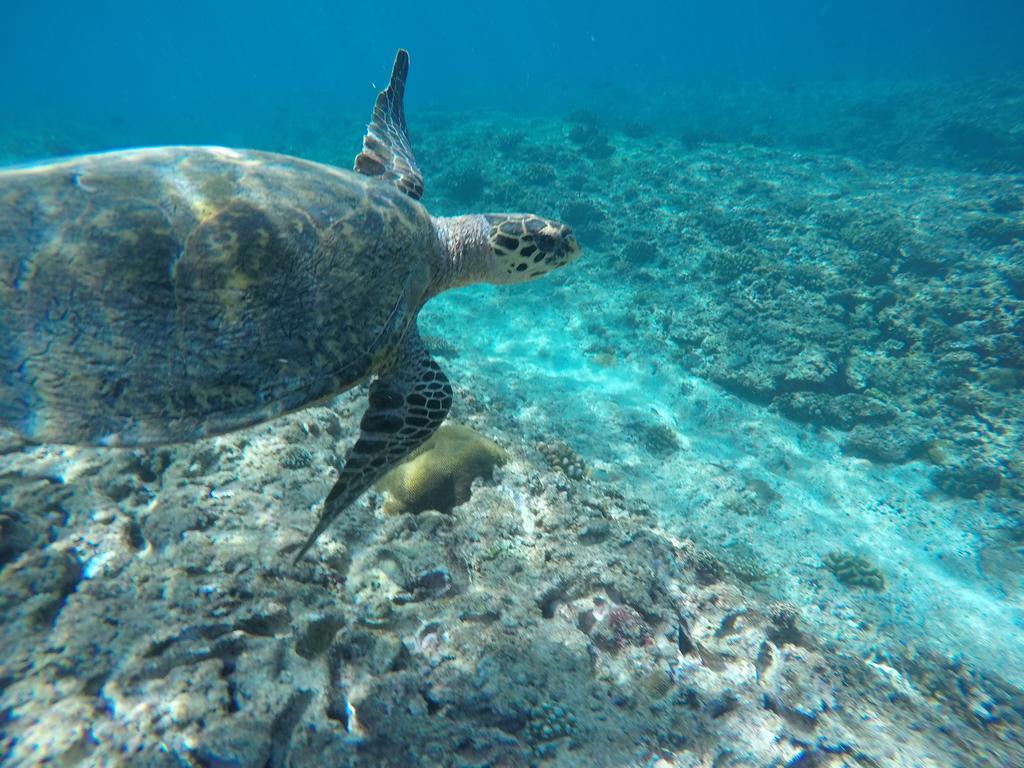 Maldives Seashine Hotel Huraa Eksteriør billede