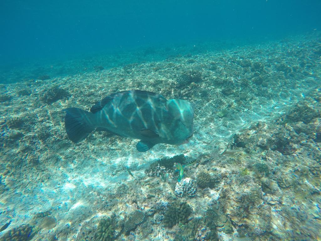 Maldives Seashine Hotel Huraa Eksteriør billede