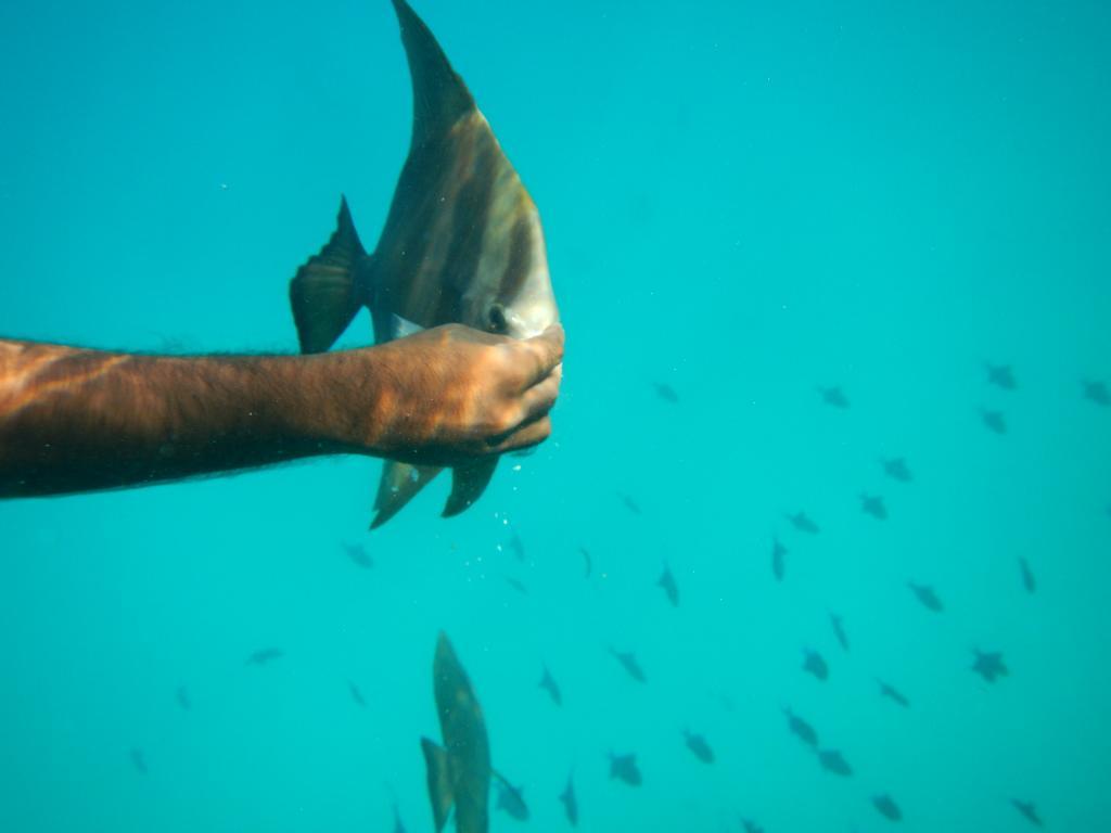 Maldives Seashine Hotel Huraa Eksteriør billede